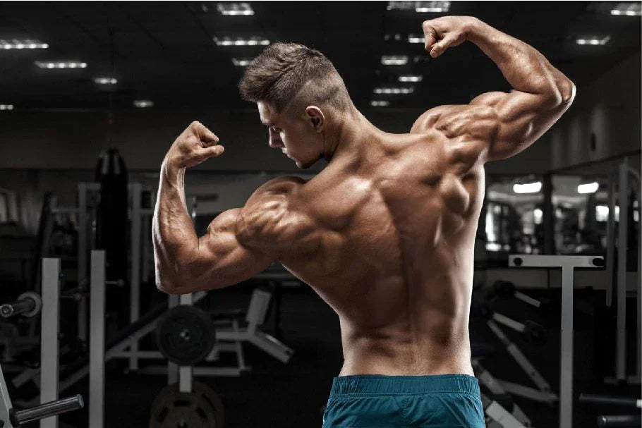 Top 5 - beste schouder oefeningen - Gymsetz